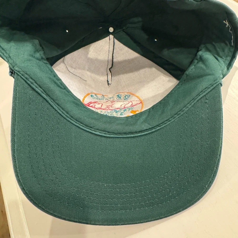 Denali National Park Alaska‎ Embroidered Rope Hat Green Adult One Size Snapback